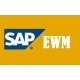 SAP EWM   -  BUY ANY 3